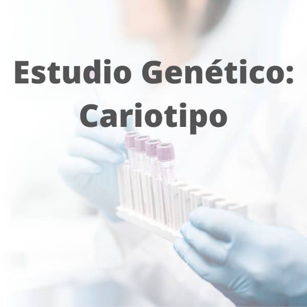 Cariotipo